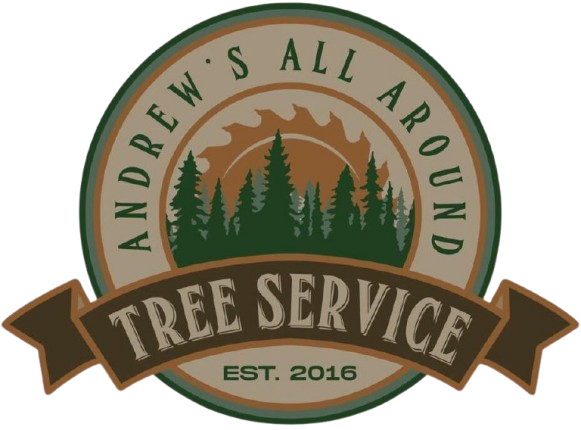 Andrew Tree Felling Pretoria