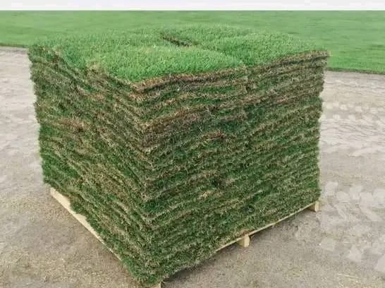 Artificial Grass Installation