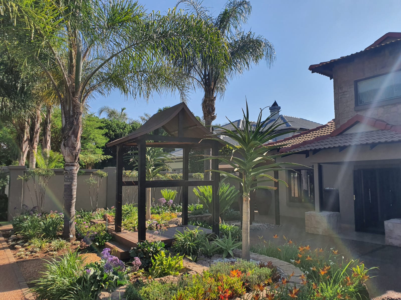 Tree felling in Pretoria